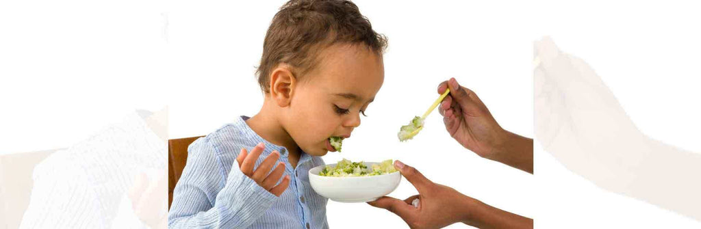 Tackling a Picky Eater: A Survival Guide for Toddler Mealtime Madness